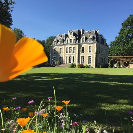 Chateau Des Essards Avec Piscine Et Jacuzzi Ланже Экстерьер фото